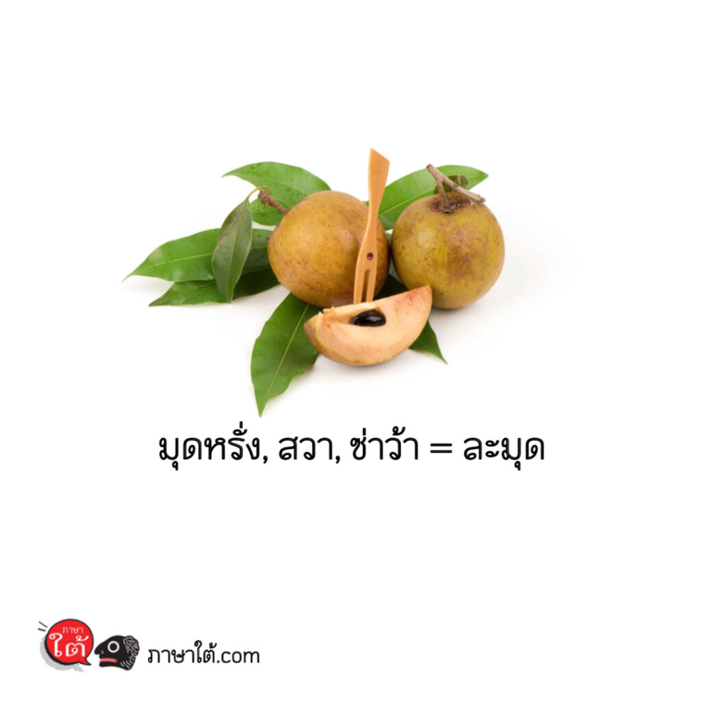 ผลไม้ภาษาใต้ รู้ไว้จะได้ไม่งงเวลาไปตลาดแถวภาคใต้ - ภาษาใต้